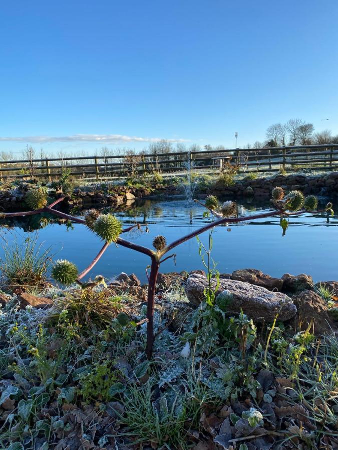 Greenway Farm Bed and Breakfast Bridgwater Exteriör bild