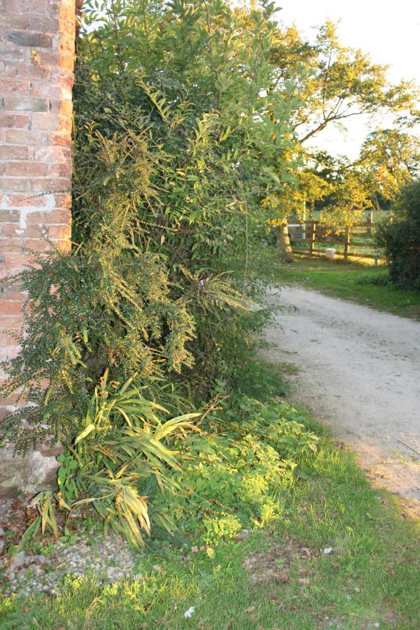 Greenway Farm Bed and Breakfast Bridgwater Exteriör bild